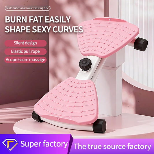 Abdominal Fitness Disk