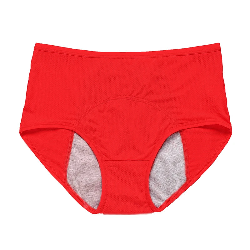 Menstruation Pantie