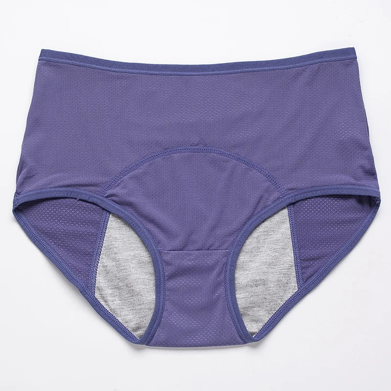 Menstruation Pantie