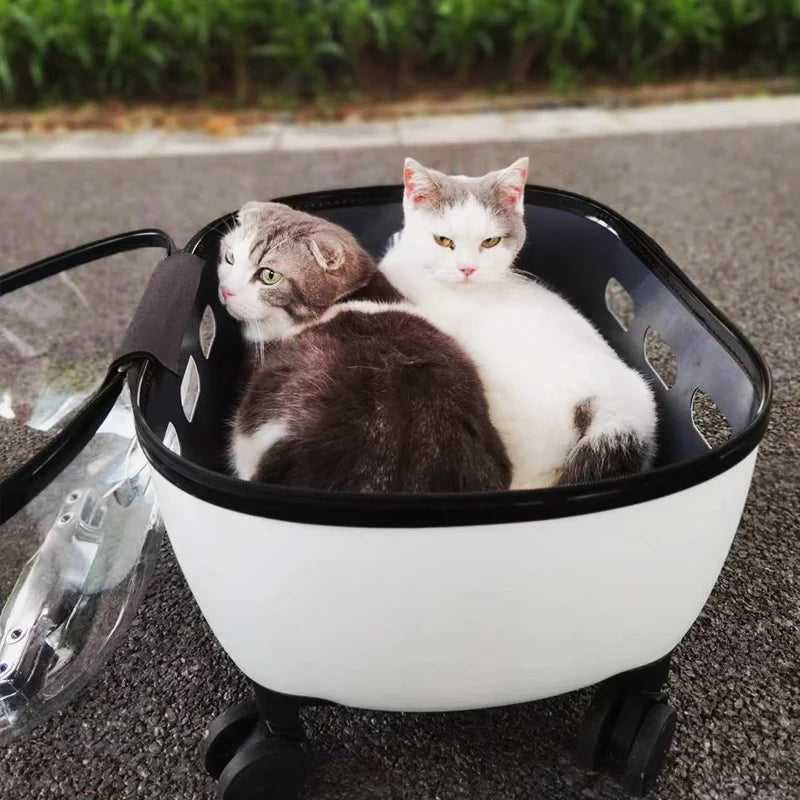 Transportbox mit Räder 10kg /Haustierbuggy bis 10kg für Katzen & Kleintiere