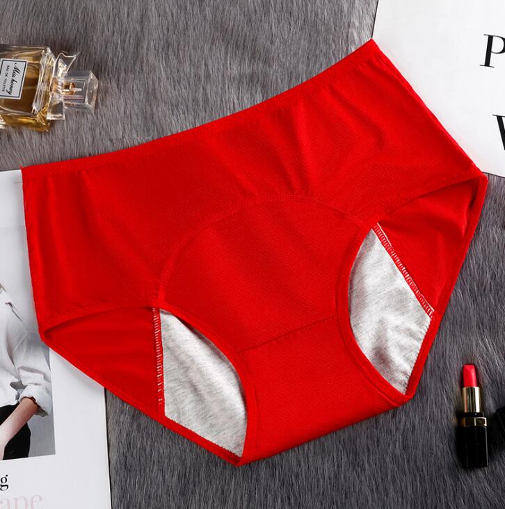 1PC Feminine Hygiene Breathable Mesh Menstrual Period Panties Leak Proof Women Underwear Physiological Pants Female Briefs