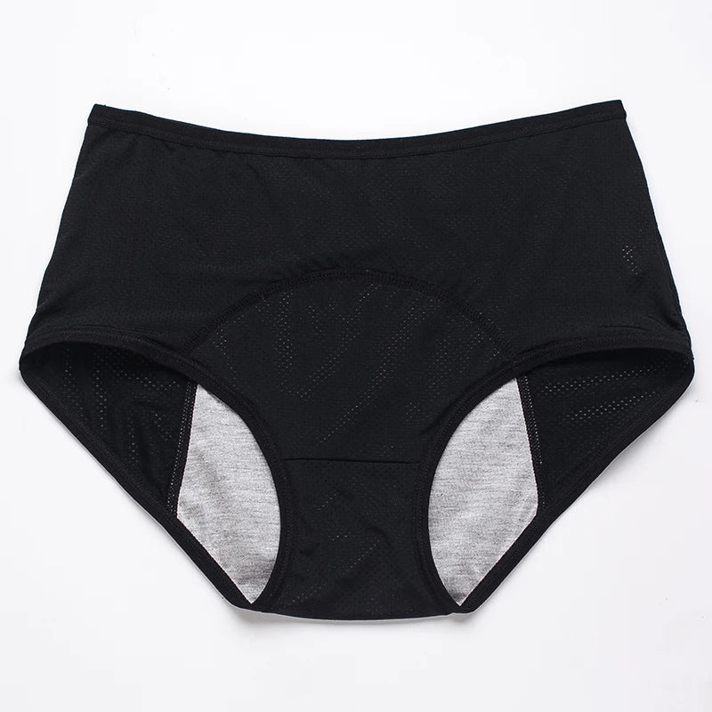 Menstruation Pantie