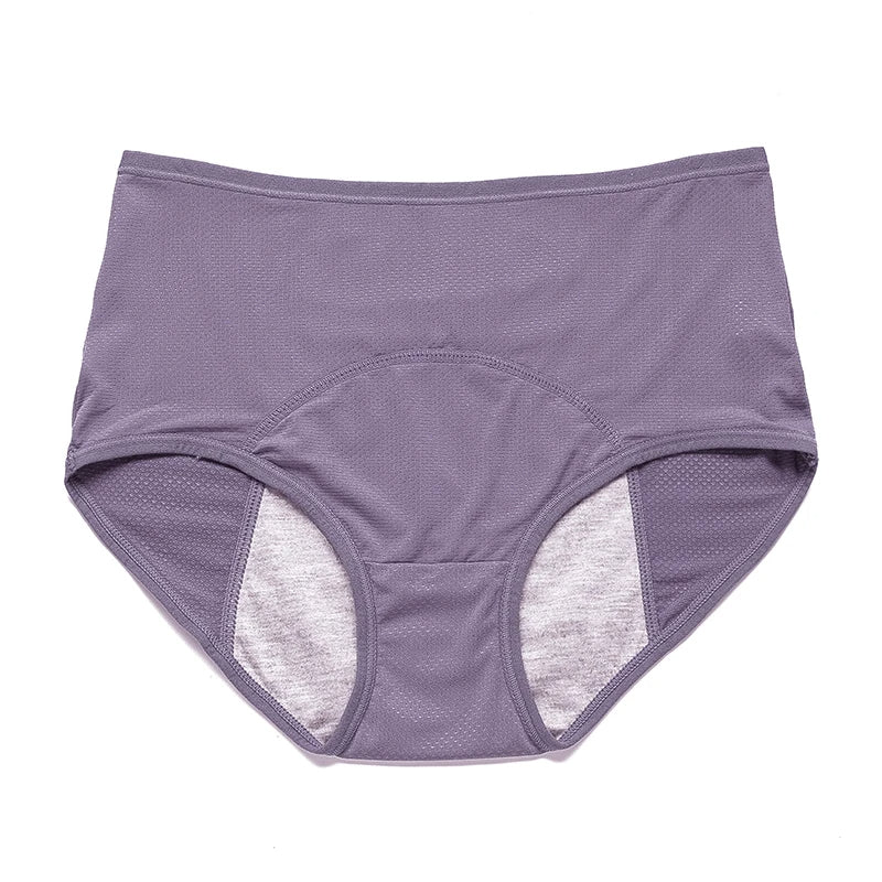 Menstruation Pantie