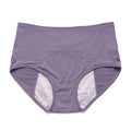 Menstruation Pantie