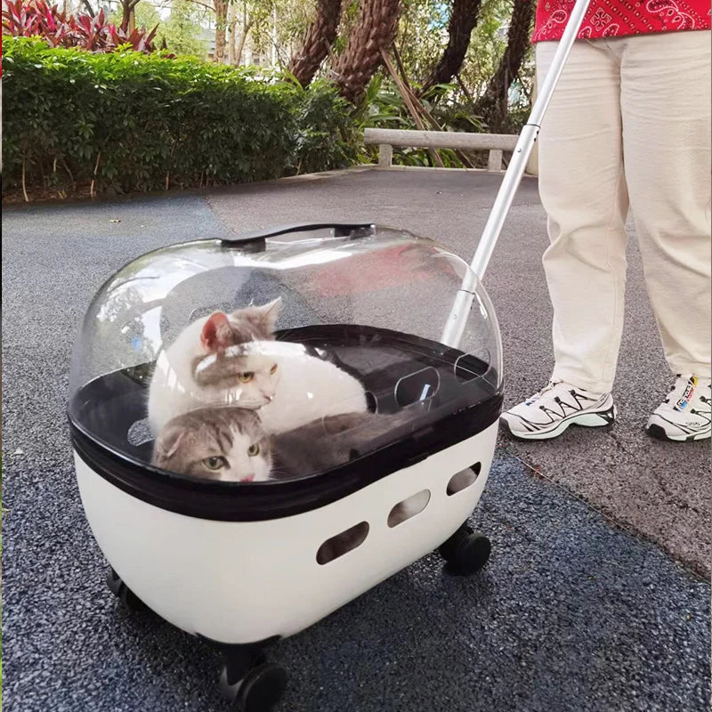 Transportbox mit Räder 10kg /Haustierbuggy bis 10kg für Katzen & Kleintiere