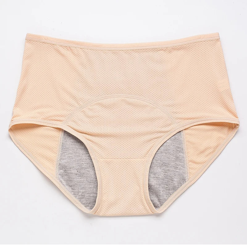 Menstruation Pantie