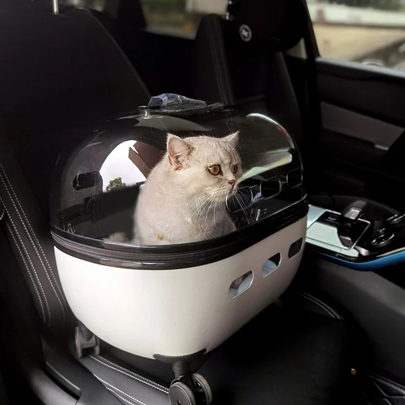 Transportbox mit Räder 10kg /Haustierbuggy bis 10kg für Katzen & Kleintiere