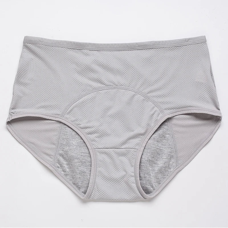 Menstruation Pantie