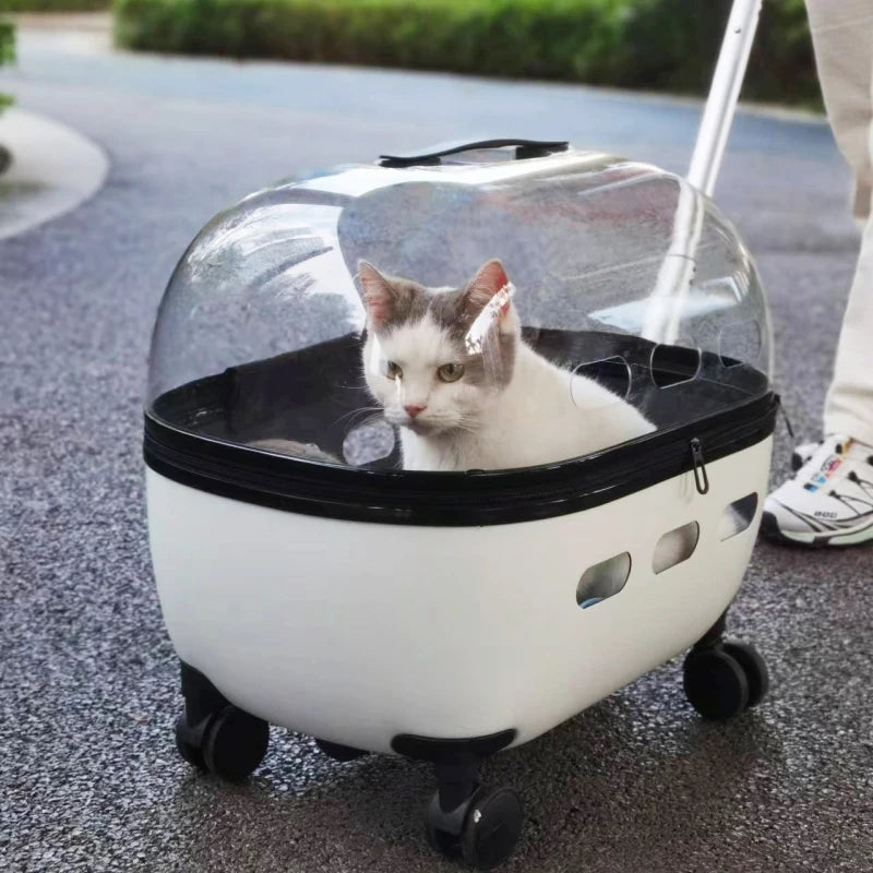 Transportbox mit Räder 10kg /Haustierbuggy bis 10kg für Katzen & Kleintiere
