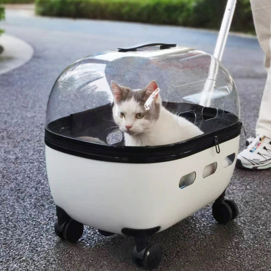 Transportbox mit Räder 10kg /Haustierbuggy bis 10kg für Katzen & Kleintiere