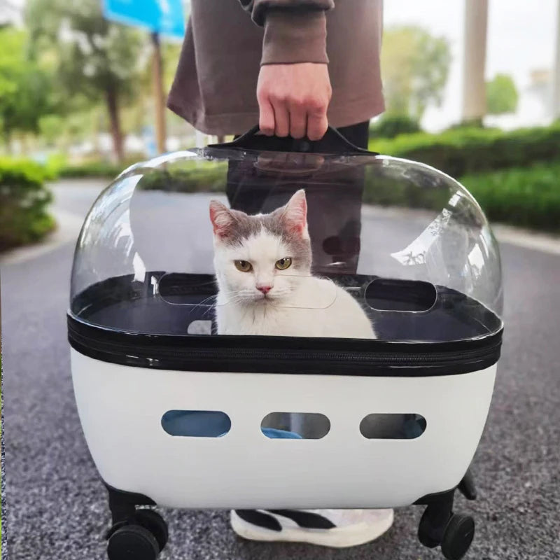 Transportbox mit Räder 10kg /Haustierbuggy bis 10kg für Katzen & Kleintiere
