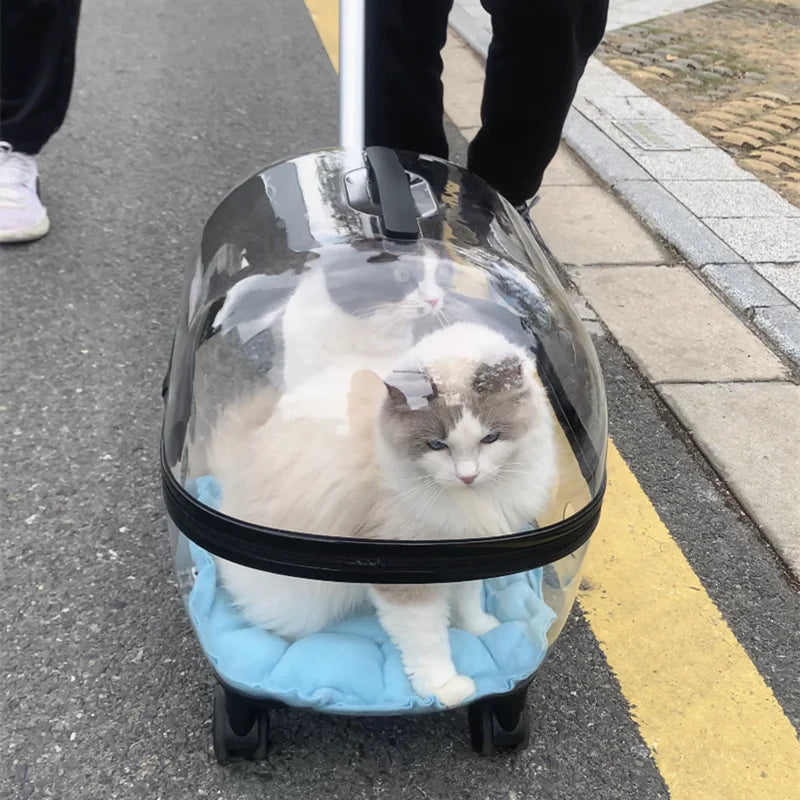 Transportbox mit Räder 10kg /Haustierbuggy bis 10kg für Katzen & Kleintiere