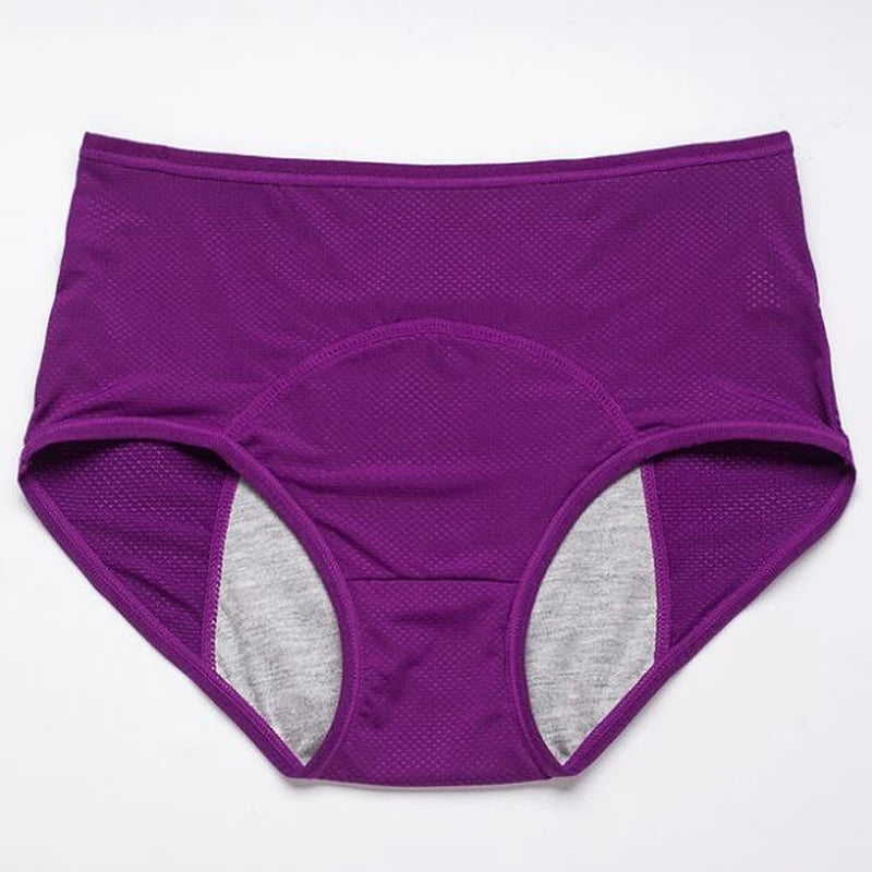 Menstruation Pantie